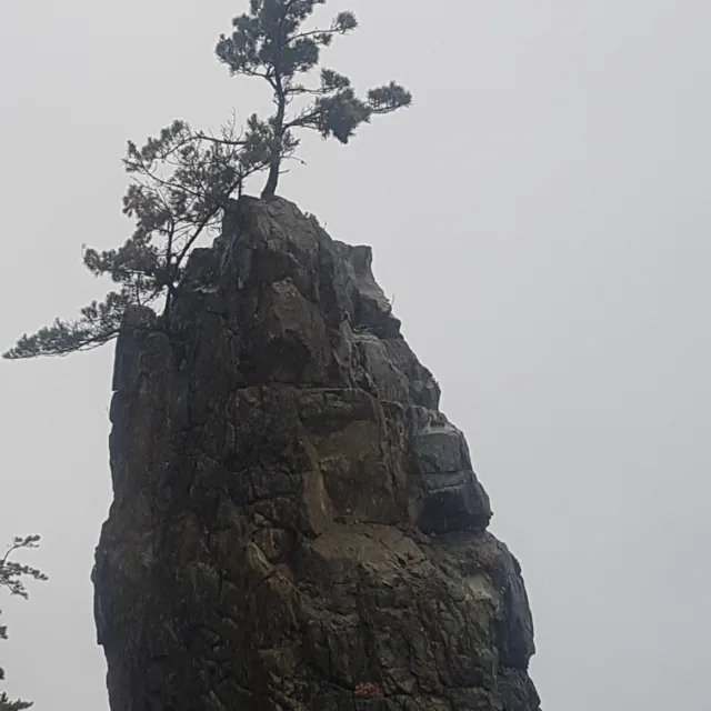 자연인