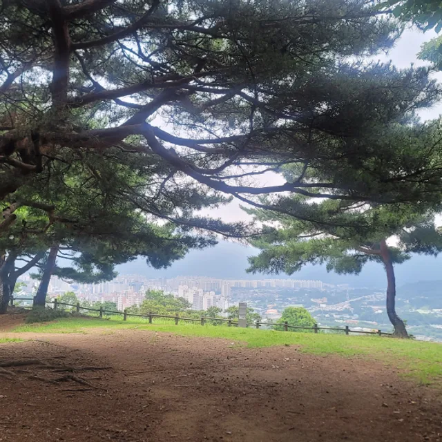 구기우기