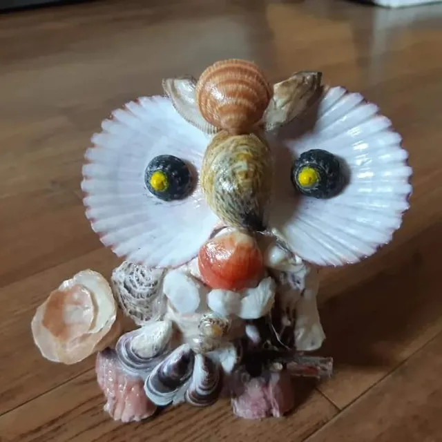 바다새