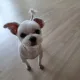 주뱅