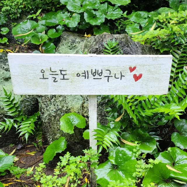 배싸리는비움중