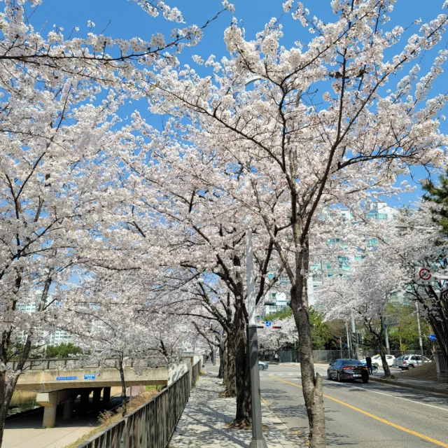사동댁