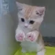 닉닉