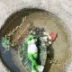 해피데이