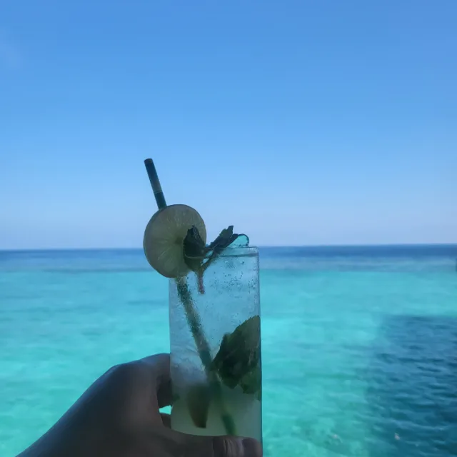 버미