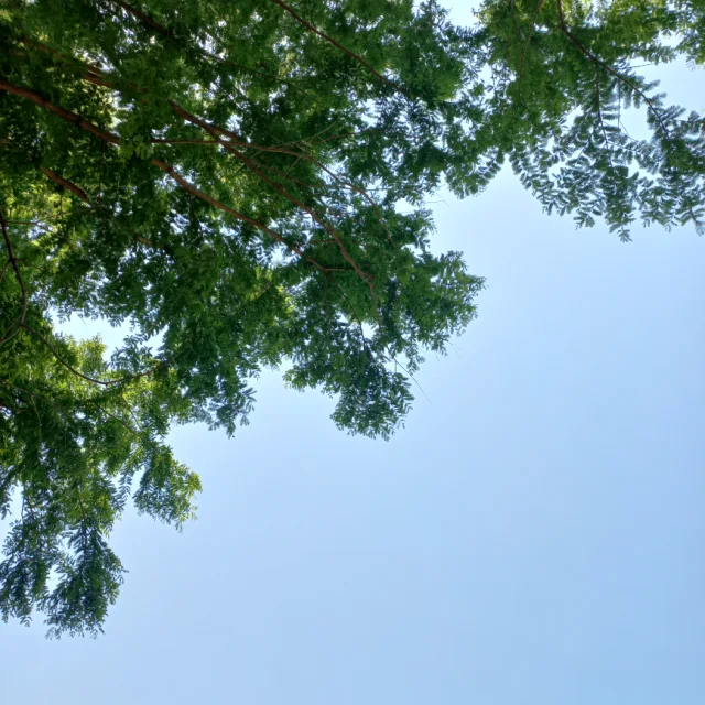 입력지역