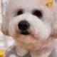 희동이