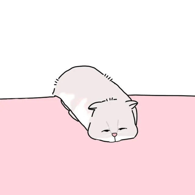 동백이