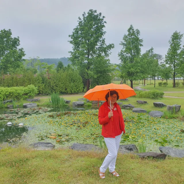 성홍근