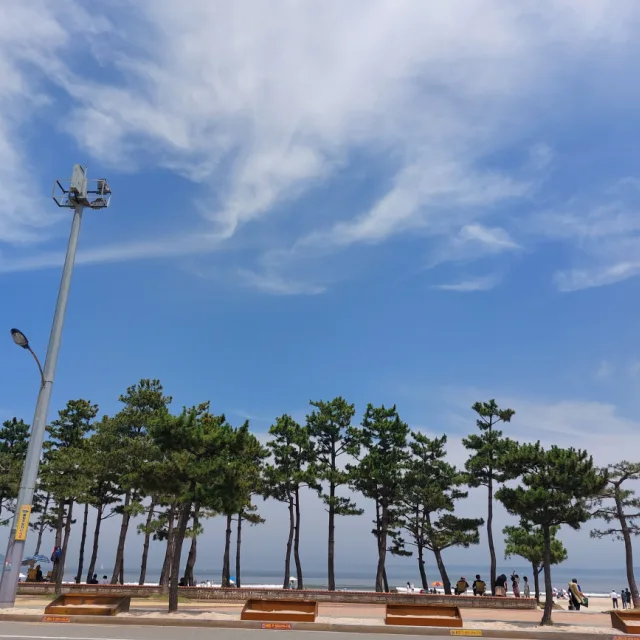 한개