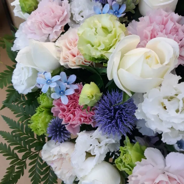 긍정