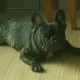 그만샀어야해
