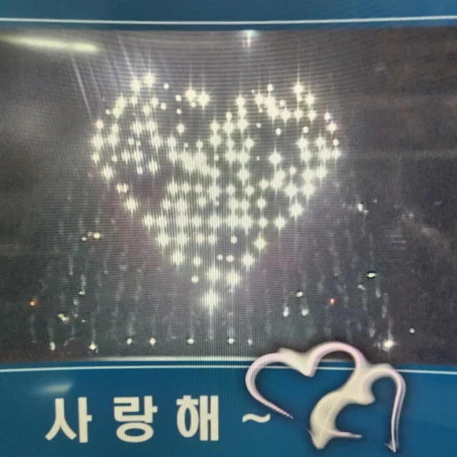 카드섹션