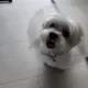 슈슈슈으으우유