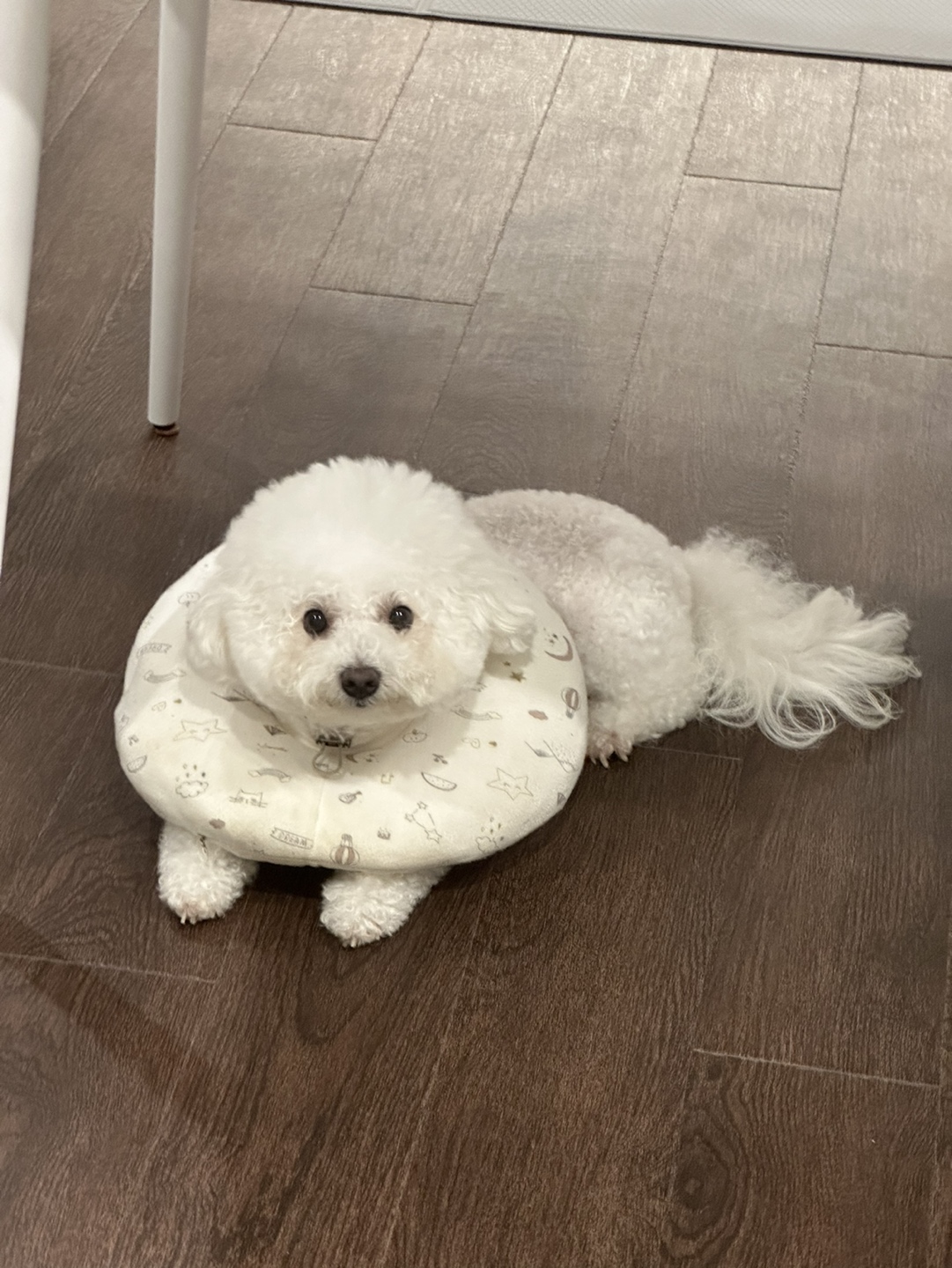 새우깡