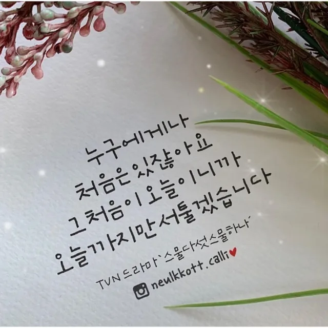 당근초보