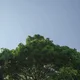 몽달