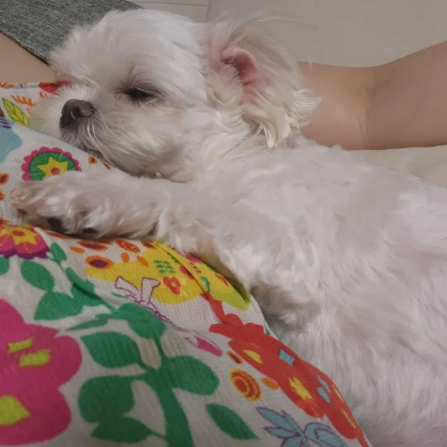 옷정리좀