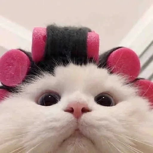 yuhua