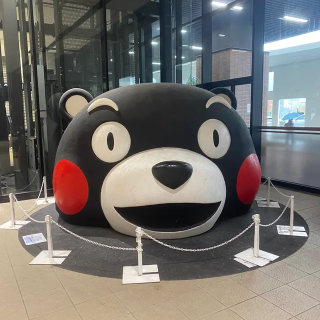 카우스