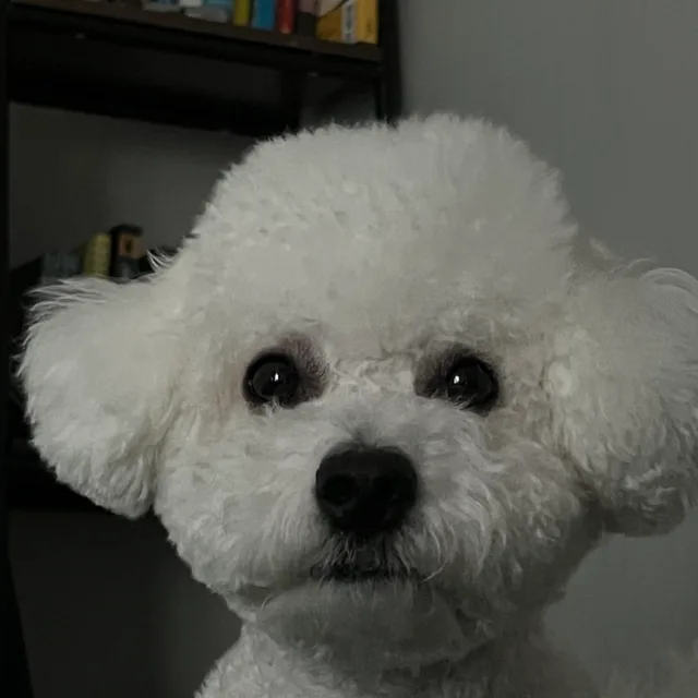 아붕따