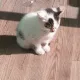 당근홀릭
