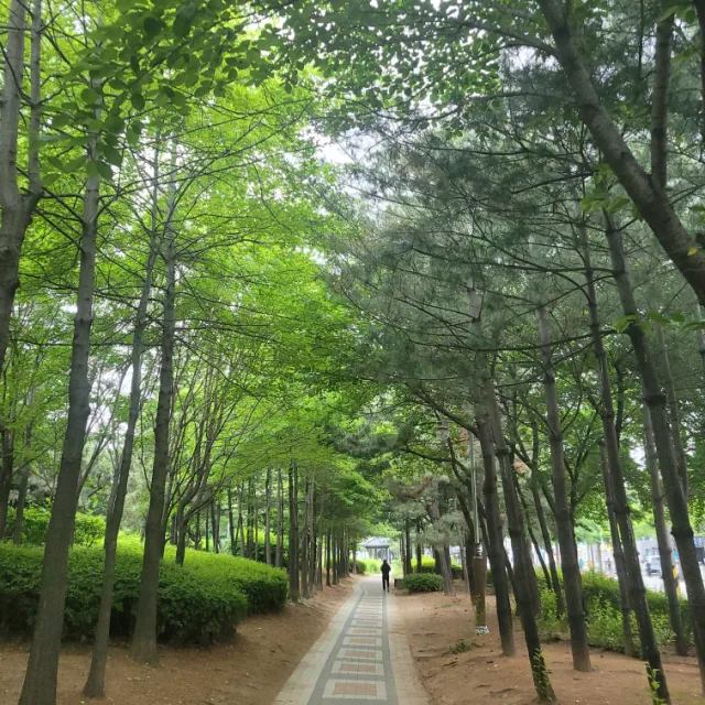 무무