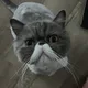 상상상상
