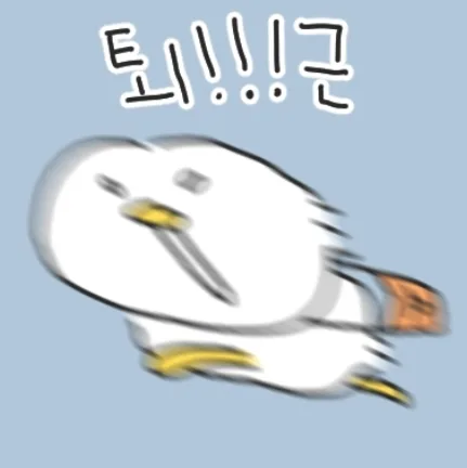 도도다담