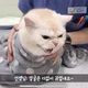 테이