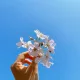 호호애미