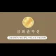 금화솔루션