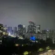 파파