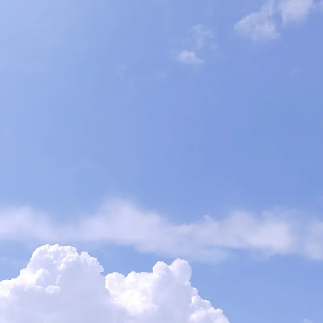 핑크팬더