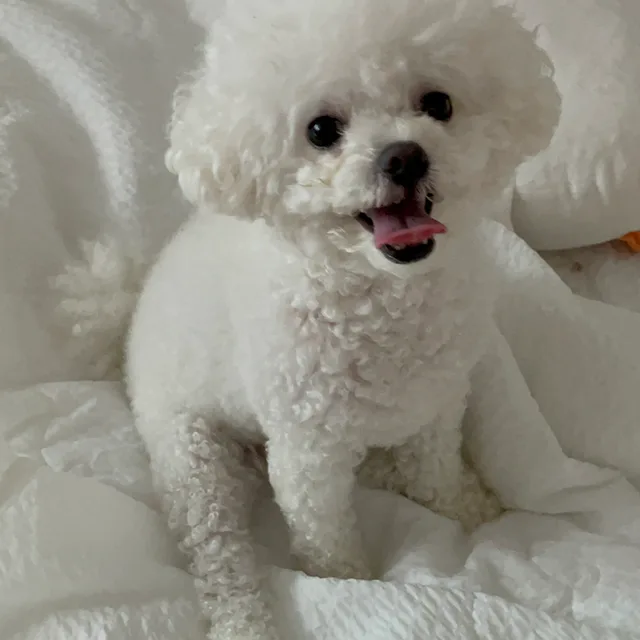 쿨딜
