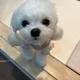 달링92