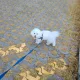건강하세요