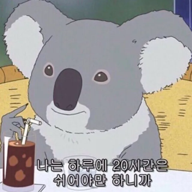 나무늘보