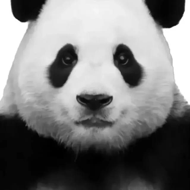둔산동푸바오