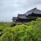 잭팟