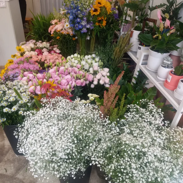 당근이지