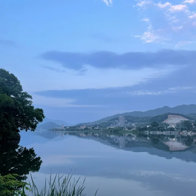 지혜로운생활