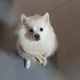 한사장