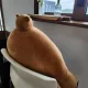유후