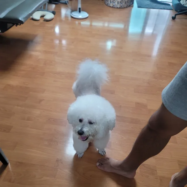 지우