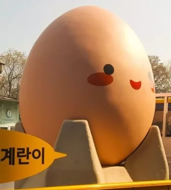 계란이안왔어요