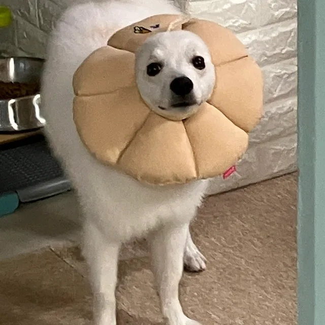 제발