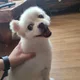 밍밍