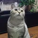 지뛍