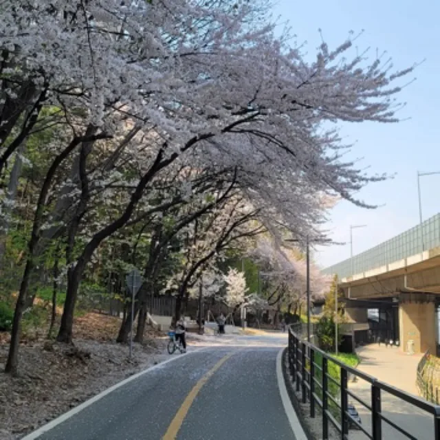 가시와기